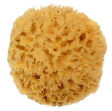 Natural Sea Grass Sponge